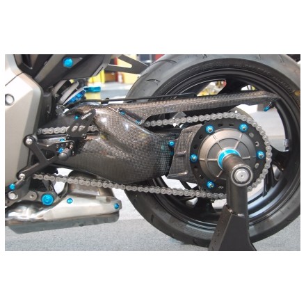 Protezione Forcellone Carbonio Honda CB 1000 R Lightech CARH7060
