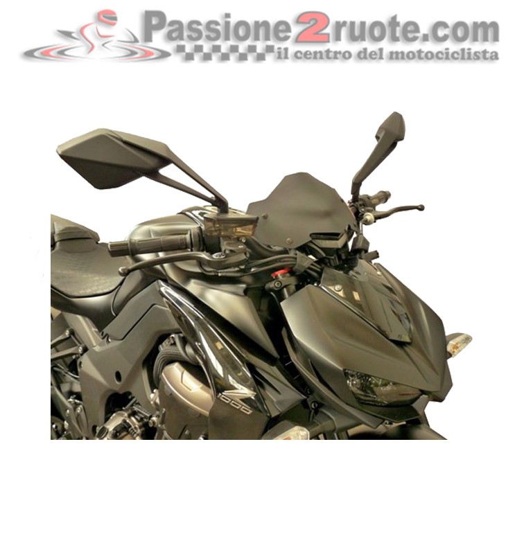 Cupolino Kawasaki Z1000 Fabbri Gen-X KX163