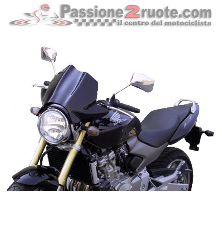Cupolino Honda Hornet 600 (05-06) Touring Fabbri H063