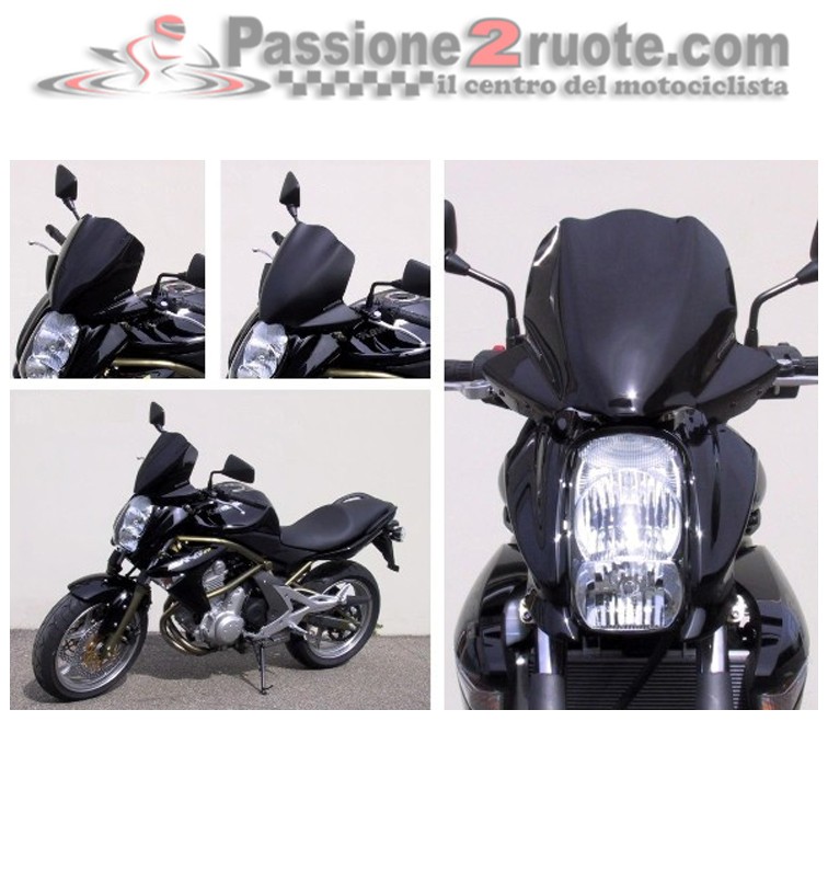 Cupolino Kawasaki ER-6N (05-08) K066