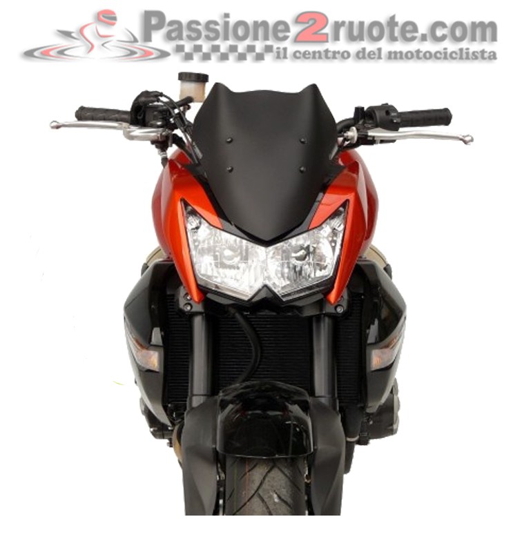Cupolino Kawasaki Z1000 (07-09) K109