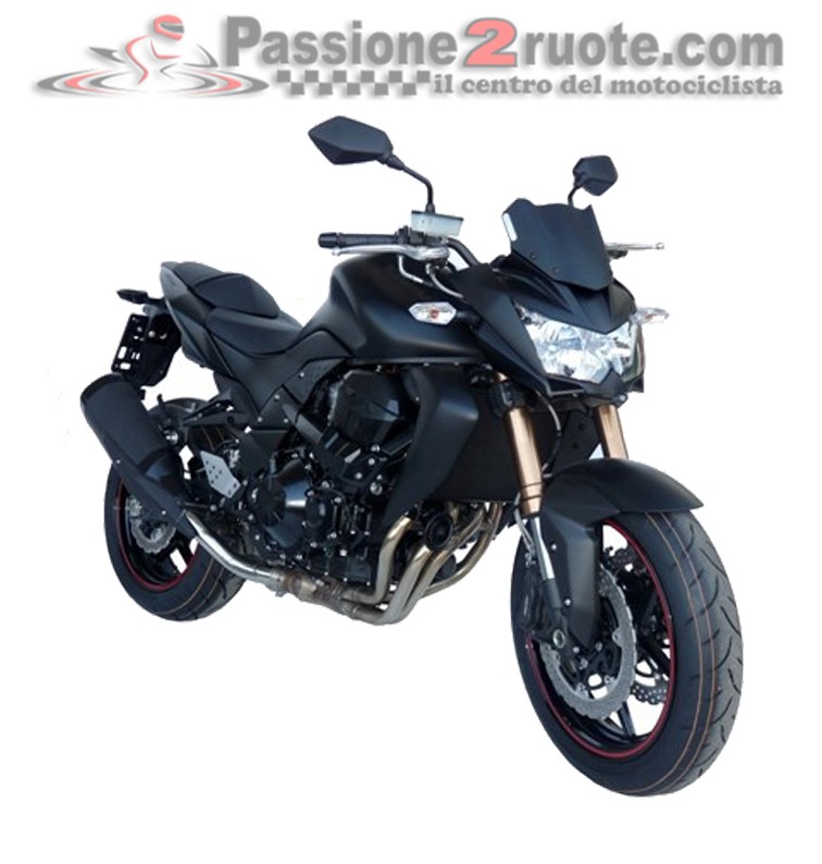 Cupolino Kawasaki Z750R (11-12) K125