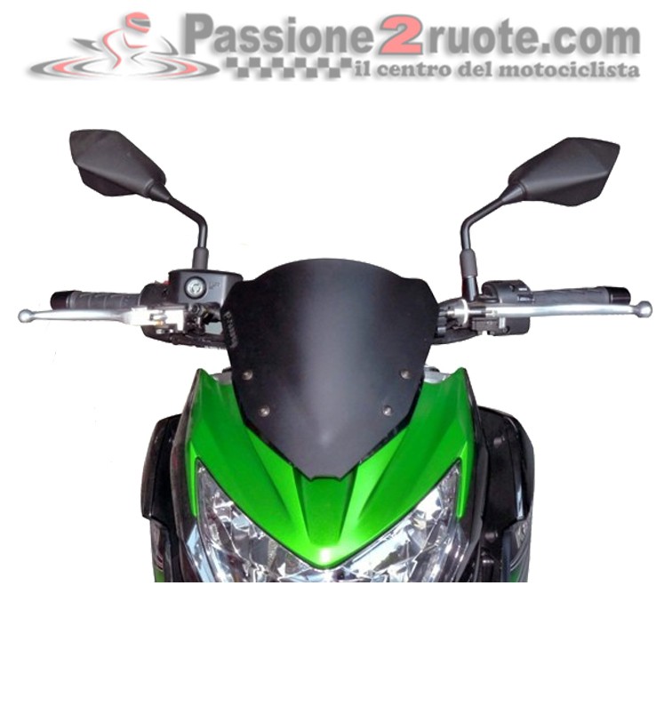 Cupolino Kawasaki Z800 Fabbri K155 DS