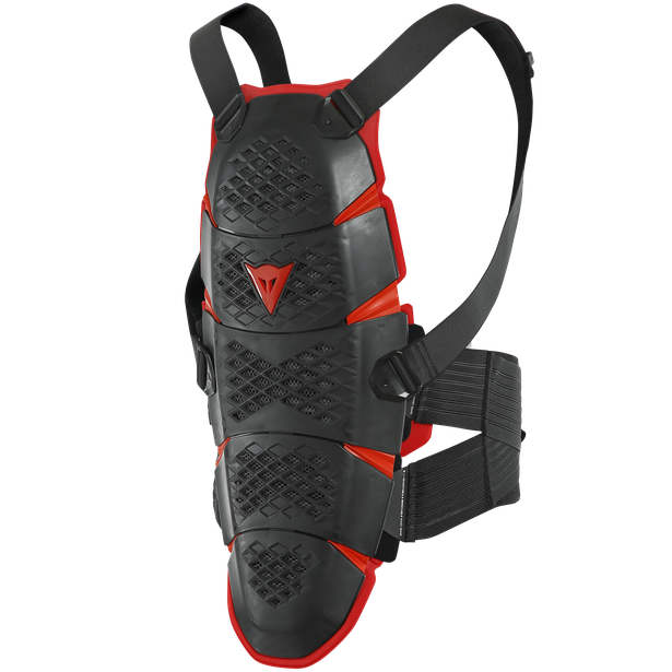 Paraschiena Dainese Pro-Speed Back long protector