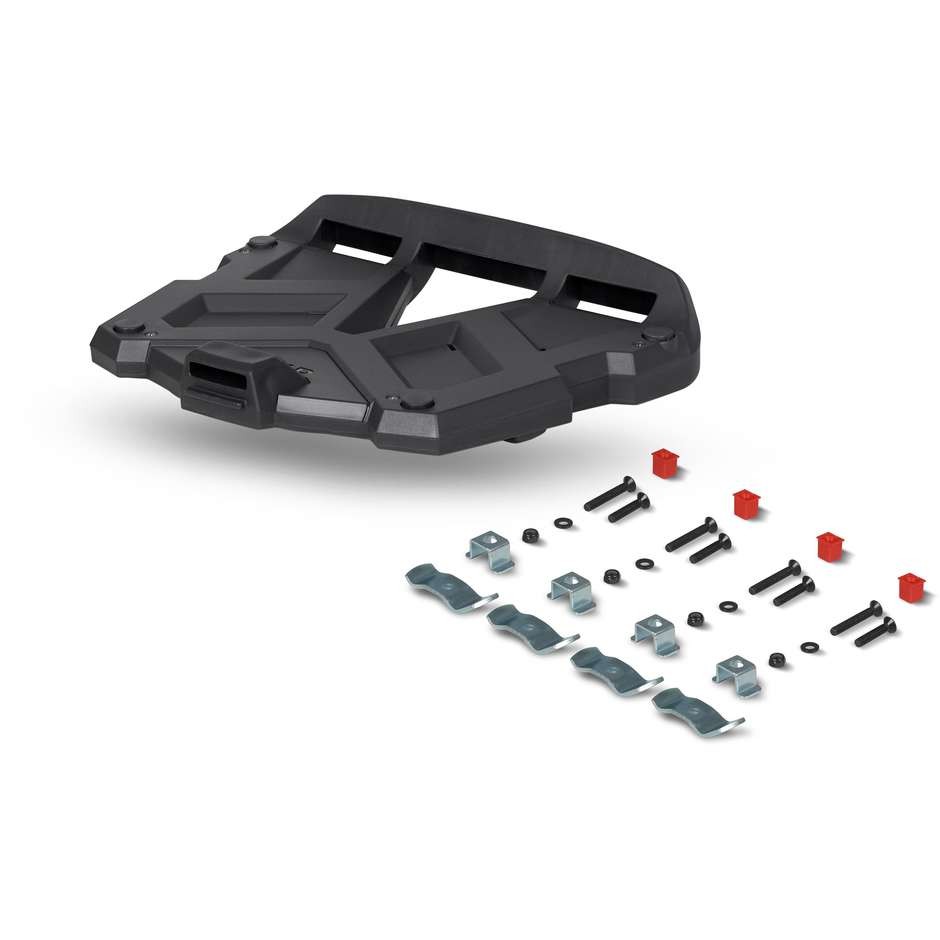 PIASTRA POSTERIORE SHAD DI MONTAGGIO GRANDE + VITI D1B591PA